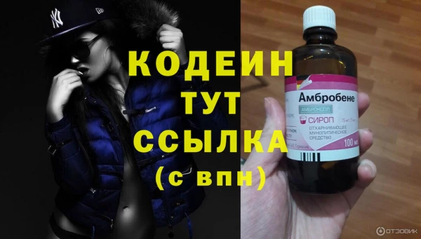 ПСИЛОЦИБИНОВЫЕ ГРИБЫ Баксан