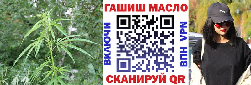 Купить  Сатка  ТГК гашишное масло 