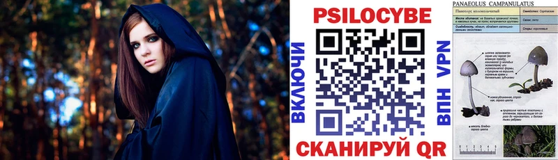 Купить где  Сатка  Галлюциногенные грибы GOLDEN TEACHER 